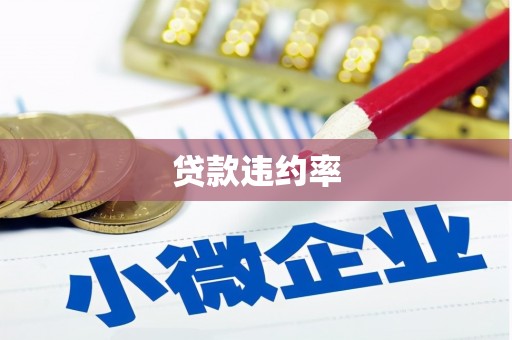 柳北贷款违约率