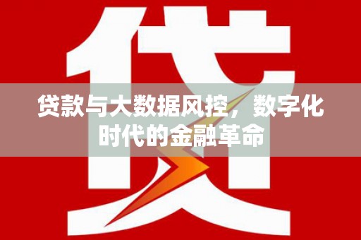 阿瓦提贷款与大数据风控，数字化时代的金融革命