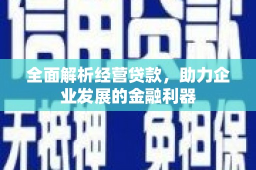 贞丰全面解析经营贷款，助力企业发展的金融利器