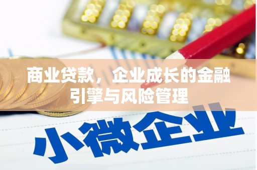 隆回商业贷款，企业成长的金融引擎与风险管理