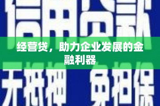 荣县经营贷，助力企业发展的金融利器