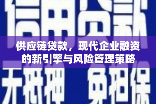 东乡族供应链贷款，现代企业融资的新引擎与风险管理策略
