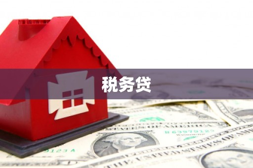 狮潭税务贷