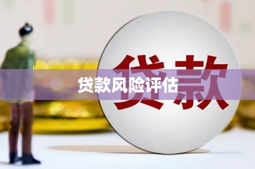埔心贷款风险评估