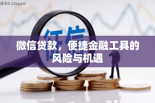 延平微信贷款，便捷金融工具的风险与机遇