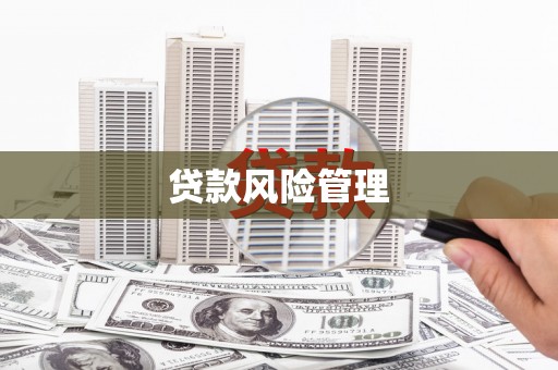 东乡族贷款风险管理
