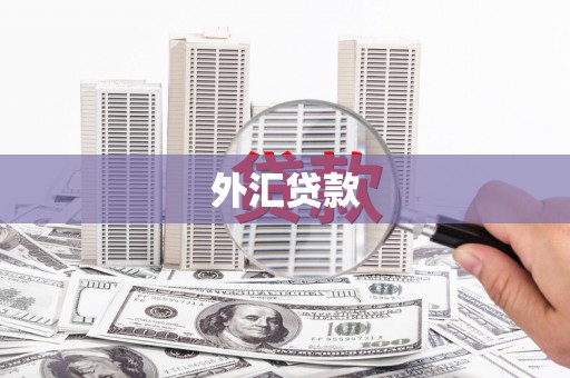 洋县外汇贷款
