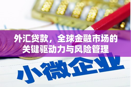 东西湖外汇贷款，全球金融市场的关键驱动力与风险管理