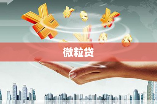 韶关微粒贷