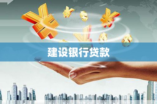 大埤建设银行贷款