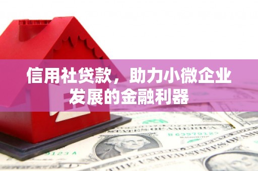 大兴信用社贷款，助力小微企业发展的金融利器