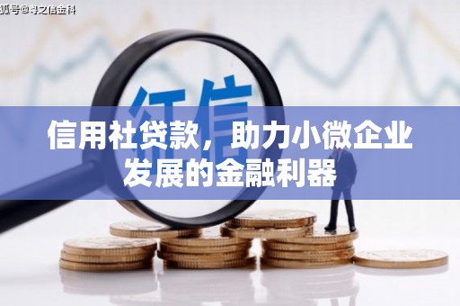通川信用社贷款，助力小微企业发展的金融利器