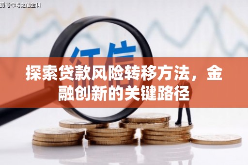 西林探索贷款风险转移方法，金融创新的关键路径