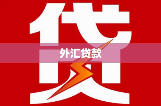 东至外汇贷款