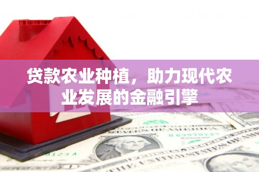 毕节贷款农业种植，助力现代农业发展的金融引擎