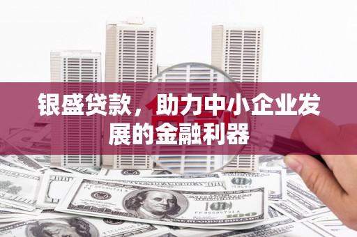 柳南银盛贷款，助力中小企业发展的金融利器
