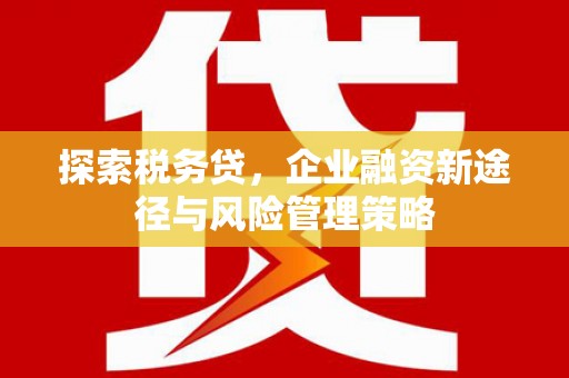 凤县探索税务贷，企业融资新途径与风险管理策略