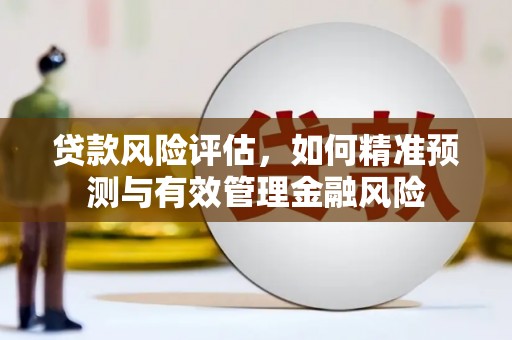 福建贷款风险评估，如何精准预测与有效管理金融风险