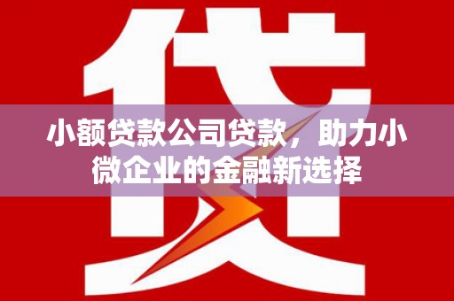 东明小额贷款公司贷款，助力小微企业的金融新选择