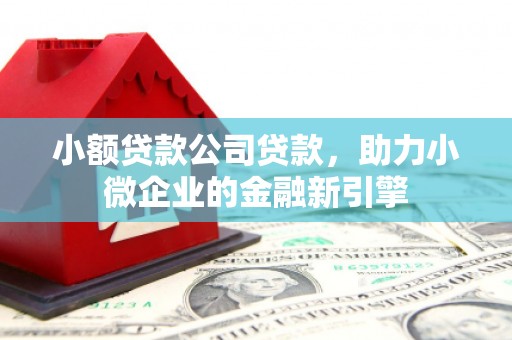 壮围小额贷款公司贷款，助力小微企业的金融新引擎