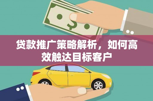 泸溪贷款推广策略解析，如何高效触达目标客户