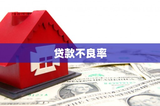 宁晋贷款不良率