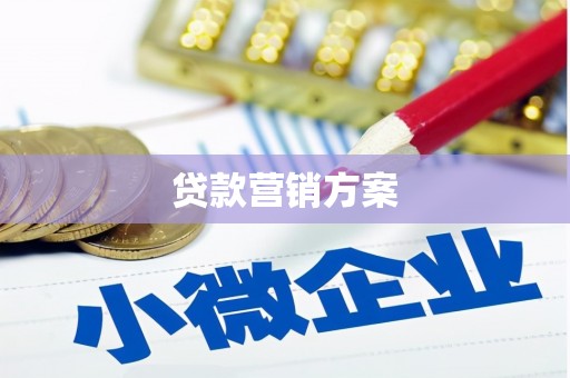 孝南贷款营销方案