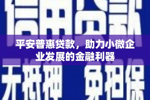 镇平平安普惠贷款，助力小微企业发展的金融利器