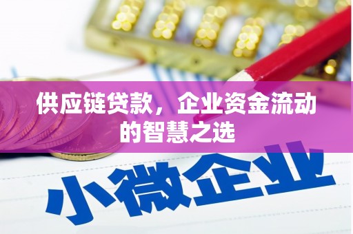 囊谦供应链贷款，企业资金流动的智慧之选