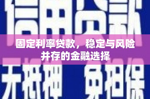 灵台固定利率贷款，稳定与风险并存的金融选择