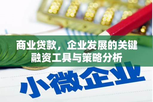 宝兴商业贷款，企业发展的关键融资工具与策略分析