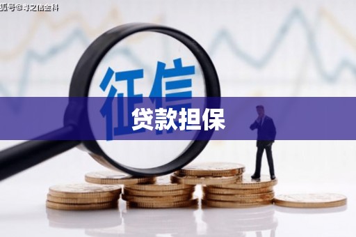 横县贷款担保