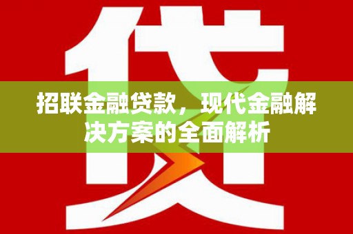 海盐招联金融贷款，现代金融解决方案的全面解析