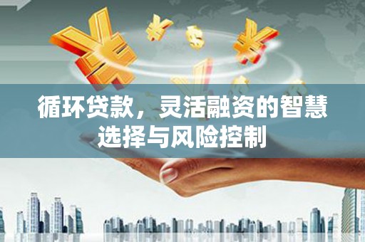 贵州循环贷款，灵活融资的智慧选择与风险控制