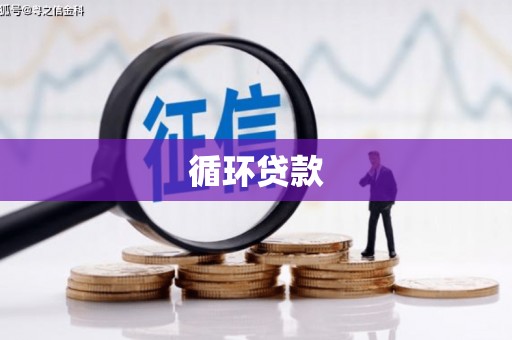 凌河循环贷款