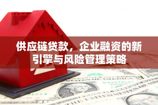 含山供应链贷款，企业融资的新引擎与风险管理策略