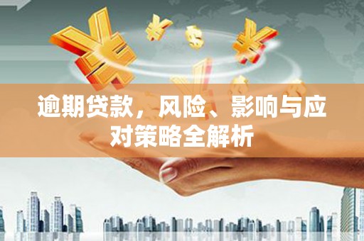 茂县逾期贷款，风险、影响与应对策略全解析