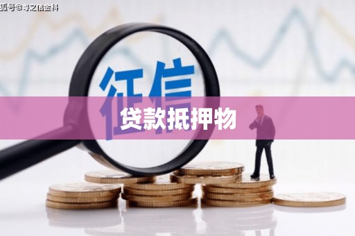 乐都贷款抵押物