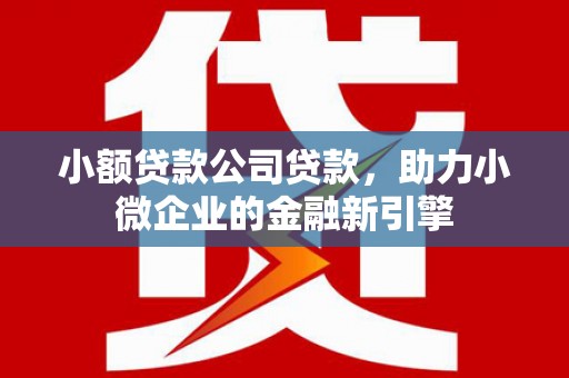 洋县小额贷款公司贷款，助力小微企业的金融新引擎