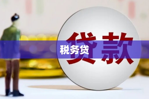 布拖税务贷