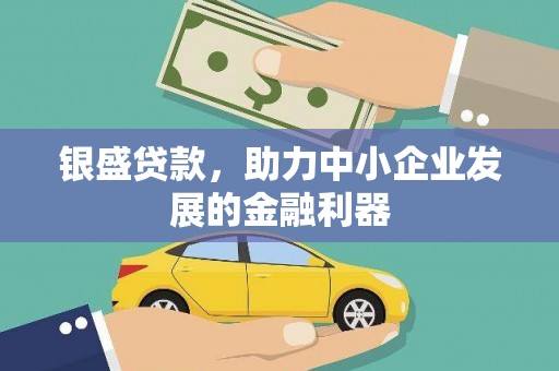 赵县银盛贷款，助力中小企业发展的金融利器