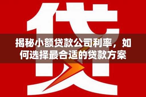 汉源揭秘小额贷款公司利率，如何选择最合适的贷款方案