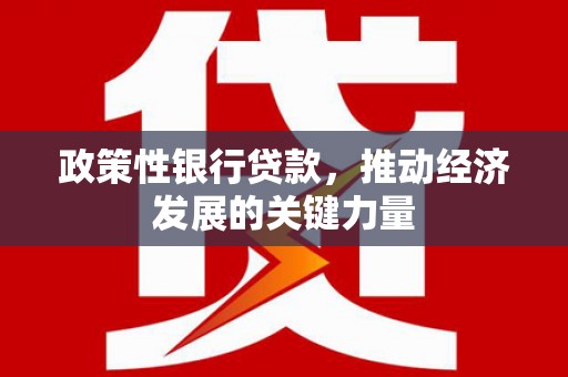 保税区政策性银行贷款，推动经济发展的关键力量