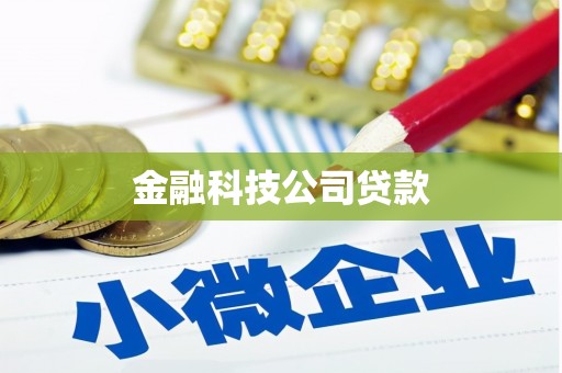宜州金融科技公司贷款