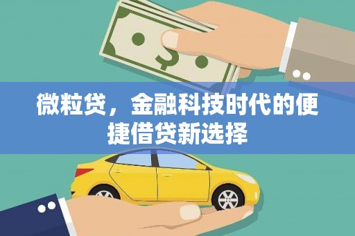 茌平微粒贷，金融科技时代的便捷借贷新选择