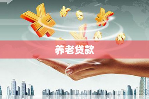 宿豫养老贷款