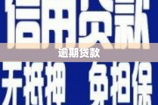 瑞穗逾期贷款