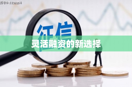 灵石灵活融资的新选择