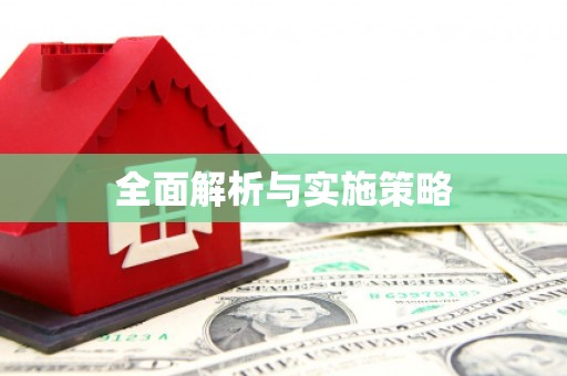 黄梅全面解析与实施策略