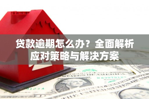 金溪贷款逾期怎么办？全面解析应对策略与解决方案